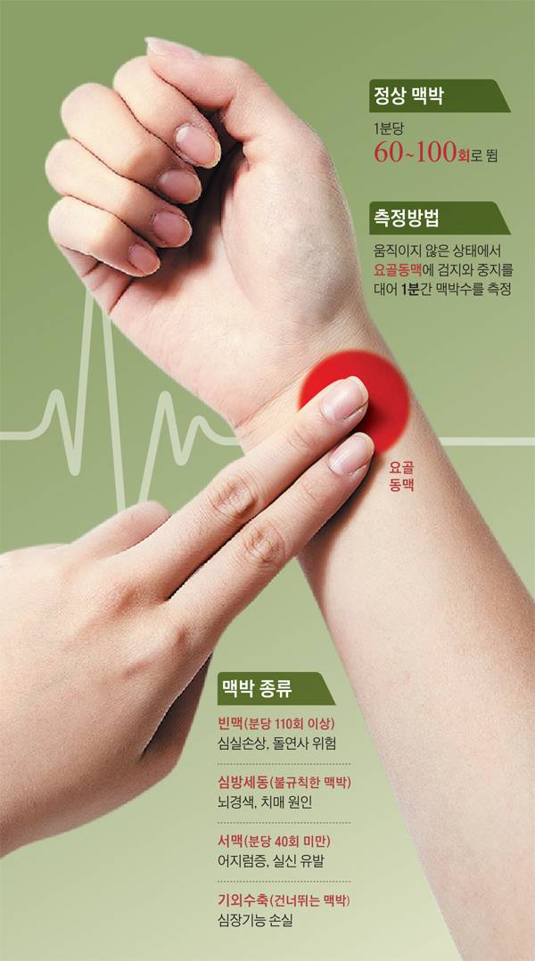 /그래픽=김하경, 사진=신지호 헬스조선 기자