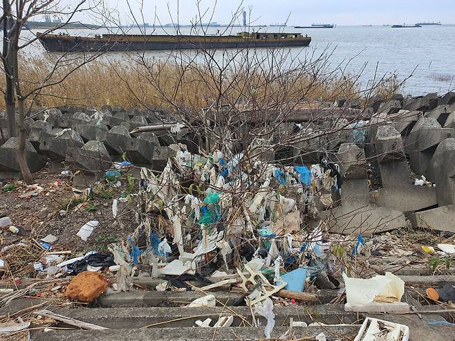 지난달 26일 상하이 빈장 산림공원의 한 나무에 비닐 쓰레기들이 엉켜 있다. 진창일 기자