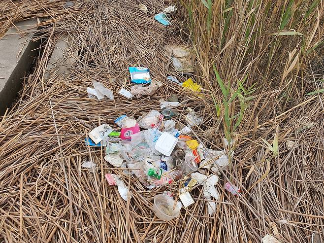 지난달 26일 찾은 양쯔강 유역 동탄 곳곳에 쓰레기가 있었다. 이곳은 중국 정부가 지정한 '국가급 새 보호구역'이다. 진창일 기자