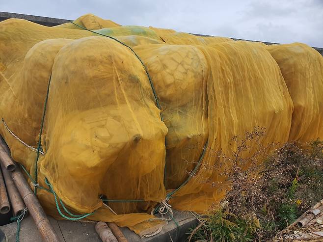 지난달 25일 양쯔강 하구 난후이 지역 강변에 쌓여있는 어민들의 스티로폼 어구. 양쯔강 유역에서 조업하는 어민들은 조각난 폐스티로폼을 그물에 담아 부표로 쓴다. 진창일 기자