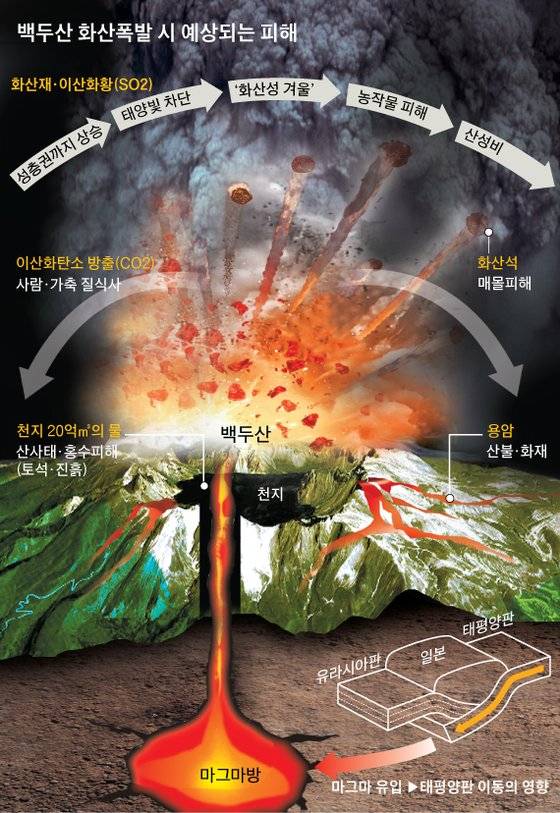 그래픽=김주원 기자 zoom@joongang.co.kr