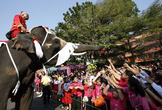 23일 태국 방콕 근교 아유타야의 학교에서 산타클로스 복장을 한 코끼리와 조련사가 아이들에게 선물을 나눠주고 있다.  &nbsp;아유타야 | EPA연합뉴스