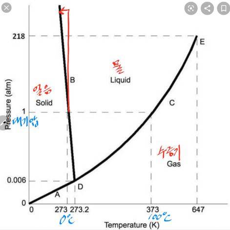 H2O의 상평형그림으로 가로축이 온도, 세로축이 압력(기압)이다. 물의 어는점(녹는점)이 0℃이고 끓는점이 100℃라는 건 대기압(1기압)일 때 얘기다. 스케이트를 타면 얼음에 닿는 면적이 작아 압력이 수백 기압까지 올라가지만 어는점 내림의 효과는 3도 내외에 불과해(빨간 선) 영하 20도에서도 빙판이 미끄러운 이유를 설명하지 못한다. chem.libretexts.org 제공