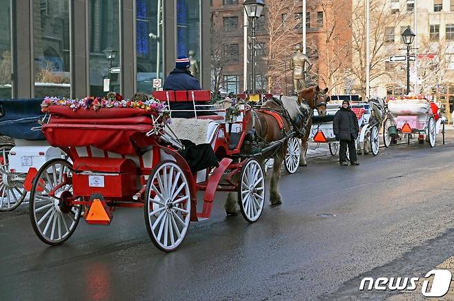 캐나다 몬트리올 말마차 © AFP=뉴스1