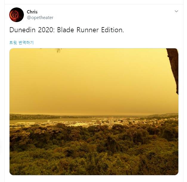 1일(현지시간) 뉴질랜드 남동부 항구도시 더니든의 하늘이 누렇게 변해버렸다.(출처 = 트위터)  © 뉴스1