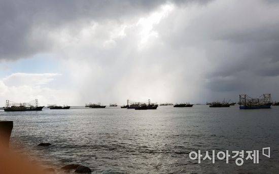 방 선장이 조업 중 직접 만난 중국 선단의 모습. 이들은 서해와 남해, 동해를 지나 북한 동해 수역에서 쌍끌이 트롤 조업으로 오징어를 싹쓸이 하는 것으로 알려졌다. 사진 = 방재관 선장 제공