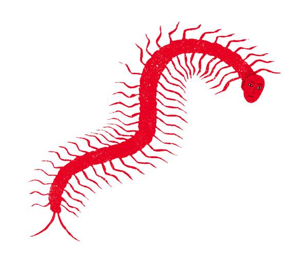 일러스트레이션·이강훈/ 워크룸프레스 제공