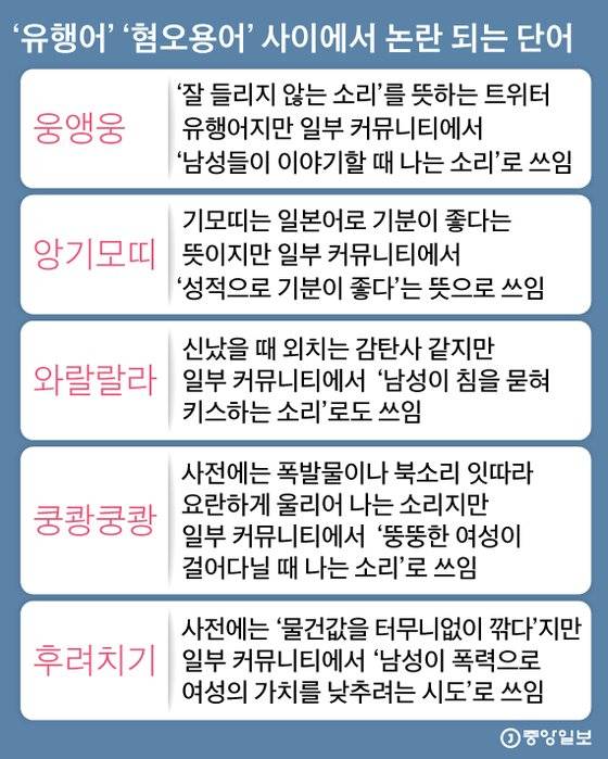 유행어와 혐오용어 사이에서 논란 되는 단어. 그래픽=김영희 02@joongang.co.kr