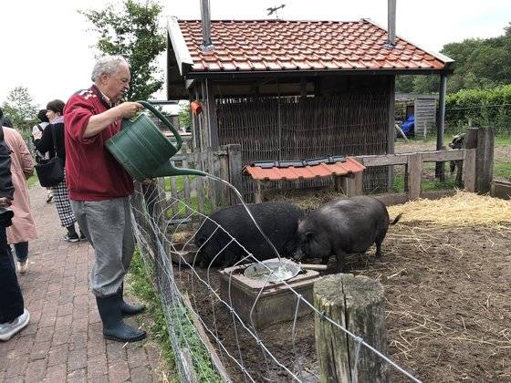 네덜란드 드레이거스 (De Reigershoeve) 케어팜.  ［사진 사이픽스］