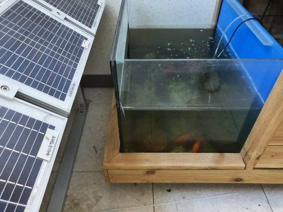 녹색드림협동조합이 떠난 사무실 한쪽에 산 붕어들이 든 어항과 태양광 패널이 놓여 있다. 박현주 기자