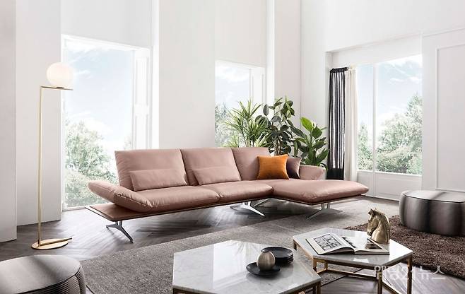 사진 : 도무스디자인(DOMUS design), 코이노 피지 로터스카우치