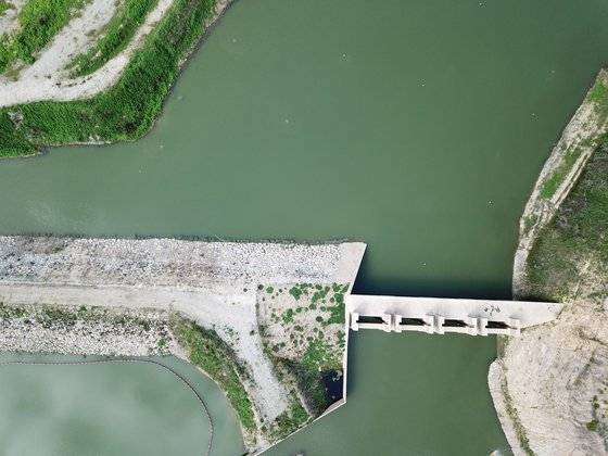 지난해 여름 낙동강 상류 영주댐에 짙은 녹조가 발생하자 내성천 보존회는
