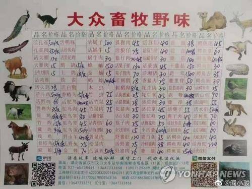 '우한 폐렴' 발원지 화난시장의 야생동물 요리 차림표 (상하이=연합뉴스) 차대운 특파원 = 우한 폐렴이 시작된 곳으로 지목된 우한(武漢)시 화난(華南)수산물도매시장의 한 야생 동물 가게의 차림표. 2020.1.22 cha@yna.co.kr [SDUIVF許超醫生 웨이보]