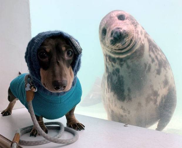 사진=멜라니 탤벗 인스타그램