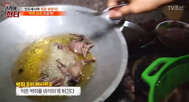 TV조선 ‘코리아헌터’ 캡처.