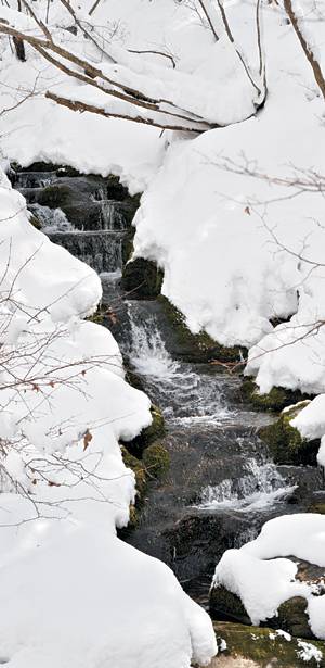 한강의 발원지인 강원 태백의 검룡소에서 솟은 물이 흘러내리고 있다. 검룡소 가는 길은 무릎을 넘기는 눈밭이 펼쳐져 있다.