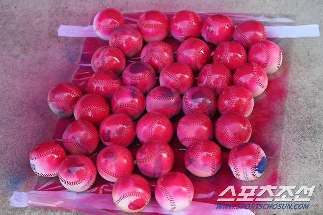 훈련을 위해 흰 야구공에 빨간색 페인트가 칠해졌다. 포트 마이어스(미국 플로리다주)=권인하 기자