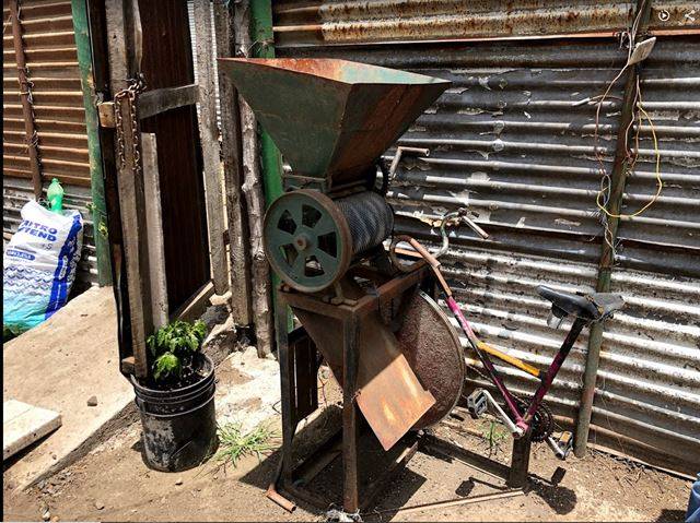 실내 자전거 운동기구처럼 생긴 커피 펄퍼. 바구니에 커피 열매를 채우고 자전거 페달을 돌리면 과육과 씨가 분리되어 내려온다. 아이디어는 흥미롭지만, 열악한 생산규모에 안타까움이 들었다. 최상기씨 제공