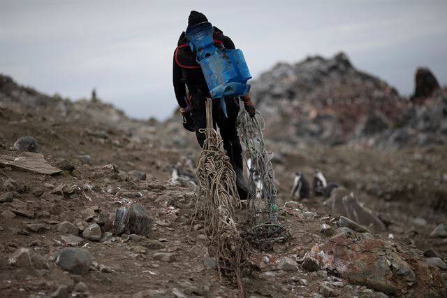 지난 1월 31일(현지시간) 촬영한 것으로 남극  스노우 아일랜드에서 한 과학자가 쓰레기를 수거하고 있다.   남극=로이터 연합뉴스
