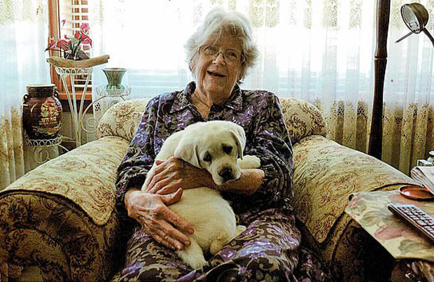 2018년 5월 87세를 일기로 세상을 떠난 셰일라 우드콕 할머니.