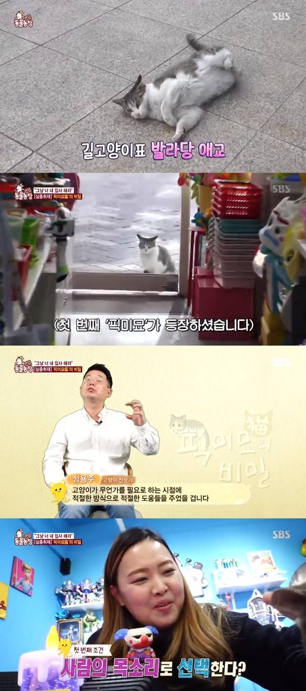 동물농장 / 사진=SBS