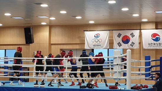 한국 복싱 대표팀 선수들이 지난달 진천선수촌 복싱장에서 올림픽 지역 예선에 대비한 훈련에 매진하고 있다. 진천=이동환 기자