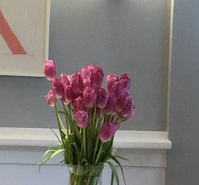 변정수 SNS 캡처