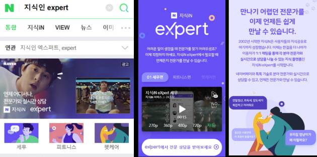 네이버의 지식인 엑스퍼트/사진=네이버 검색 화면 갈무리