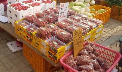 폐쇄된 신천지 시설 인근 마트 진열대. /사진=김지훈 기자