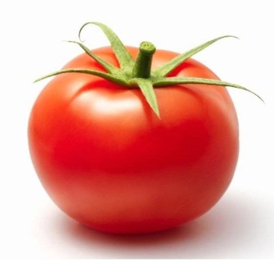 대표적인 다이어트 식품 토마토 . [중앙포토]