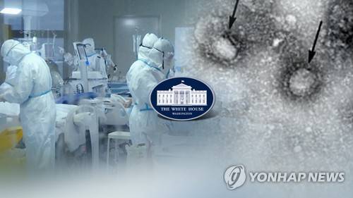 美범정부 '코로나 TF' 발족…내달 추가 전세기 투입 (CG) [연합뉴스TV 제공]
