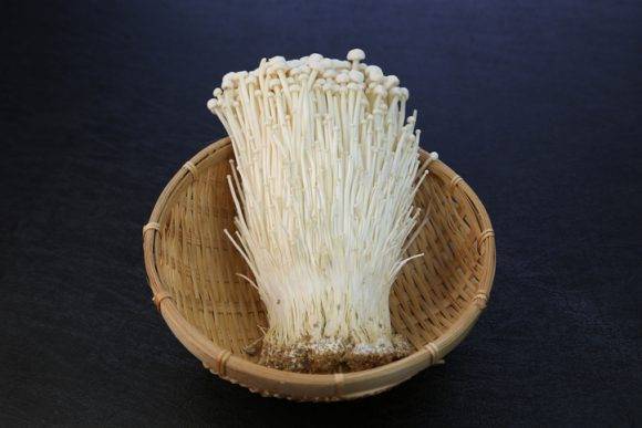 [사진=yasuhiroamano/gettyimagesbank]