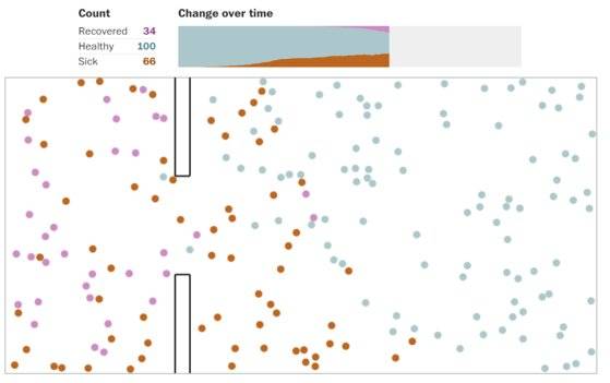 지역적 봉쇄 조치를 할 경우 먼저 격리 구역 내 전원이 감염되고, 이 중 한 명이라도 격리 구역을 벗어나면 청정 구역 역시 걷잡을 수 없이 확산 된다. 모셥에서 파란 공은 건강한 사람, 빨간 공은 감염자, 분홍 공은 회복한 사람을 나타낸다. 이 사진에서는 봉쇄망이 뚫리면서 확진자가 급증하고 있다. 이미 봉쇄 지역은 모든 공이 한번씩 감염된 뒤다. [워싱턴포스트 홈페이지]