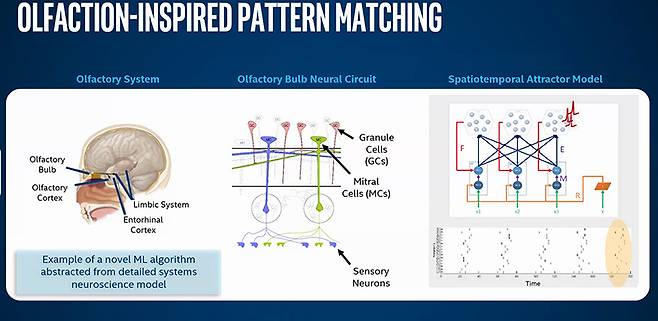 실제 뇌의 뉴런과 로이히의 동작 방식을 보여주는 수식도. 출처=인텔