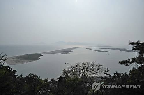2013년 낙동강 하구 [부산시 제공·재판매 및 DB 금지]