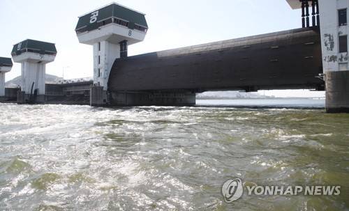2019년 9월 낙동강 하굿둑 수문 개방 [촬영 손형주·재판매 및 DB 금지]