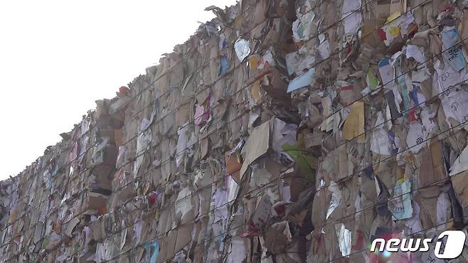 압축장에 쌓여 있는 폐지. © 뉴스1