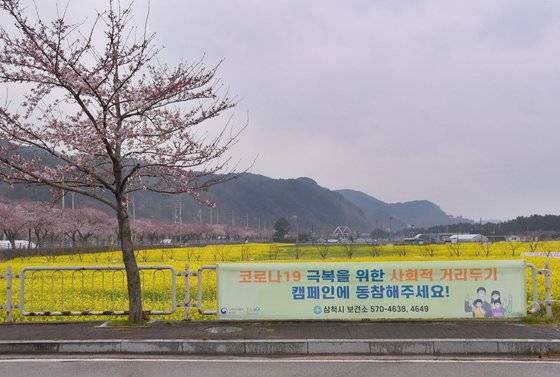코로나19 확산 방지를 위한 사회적 거리두기 캠페인 동참을 위해 강원 삼척시가 삼척 맹방 유채꽃 축제를 취소하고 다음달 4일까지 유채꽃밭 출입을 통제했다. [사진 삼척시]