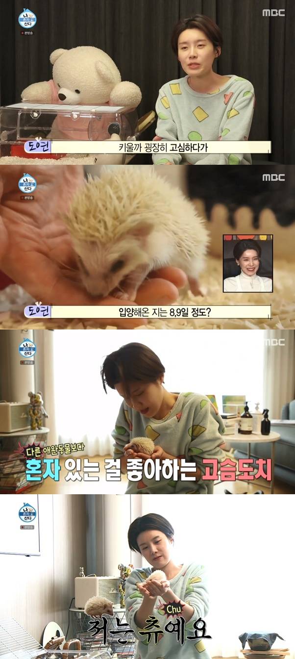장도연 고슴도치 / 사진=MBC 나혼자산다