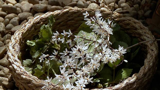 <밥정>의 한 장면. 사진 하얀소엔터테인먼트 제공
