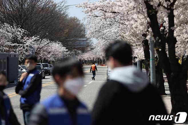 4일 오후 서울 영등포구 여의도 국회 인근 벚꽃 길이 신종 코로나바이러스 감염증(코로나19) 확산 방지를 위해 출입통제돼 있다. 2020.4.4/뉴스1 © News1 이승배 기자