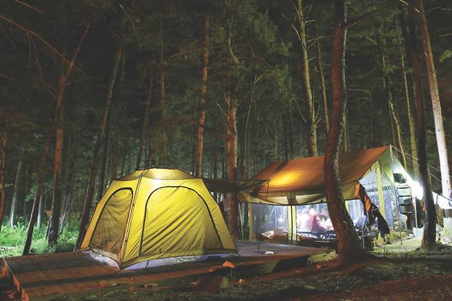 운치 있는 분위기의 무릉계곡 힐링캠핑장.