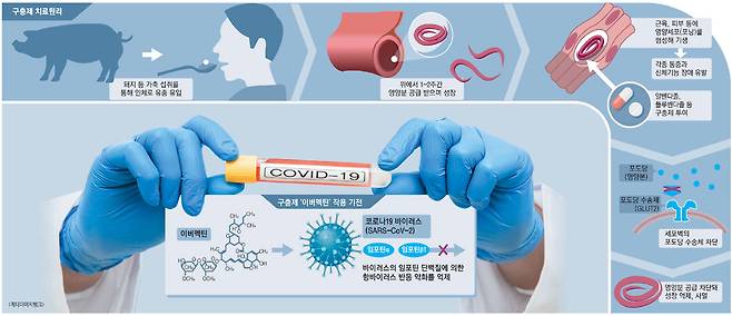 [사진 제공 = 게티이미지뱅크]