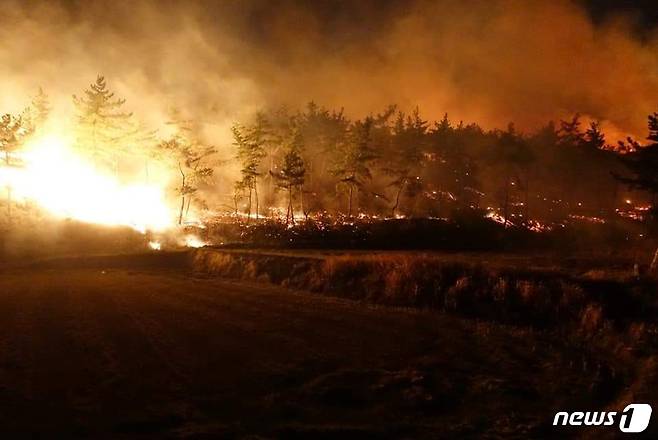 지난 12일 오후 7시 23분께 대산읍 화곡리 야산에서 산불이 발생했다 © 뉴스1