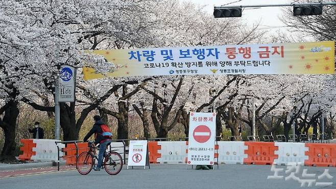 지난 2일 서울 영등포구 여의서로 벚꽃길(국회 뒷편)이 코로나19 확산 방지를 위한 조치로 차량 및 보행자 통행이 금지되고 있다. (사진=박종민 기자/자료사진)