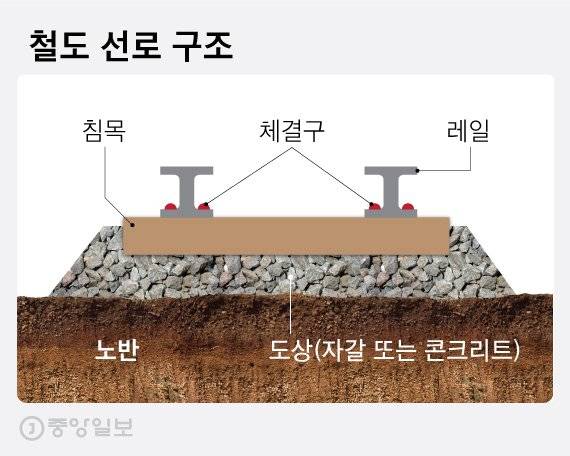 그래픽=차준홍 기자 cha.junhong@joongang.co.kr