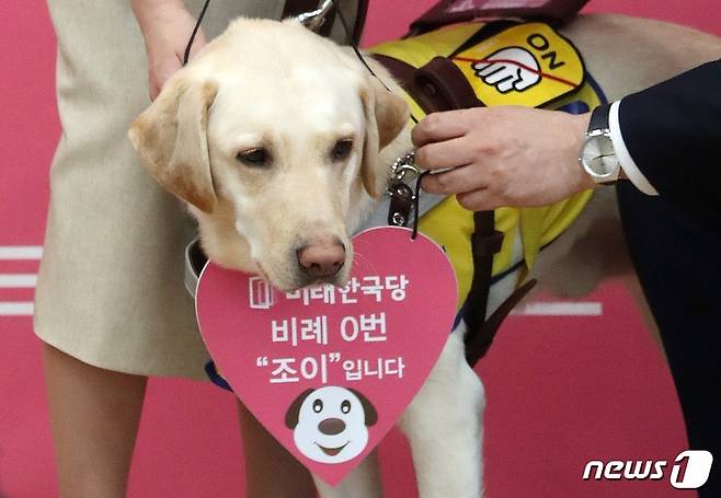 원유철 미래한국당 대표가 27일 오후 서울 영등포구 당사에서 열린 국민 공천장 수여식에서 비례대표 후보인 시각장애인 피아니스트 김예지씨의 안내견 조이에게 비례 0번 목걸이를 달아주고 있다. 2020.3.27/뉴스1 © News1 박세연 기자