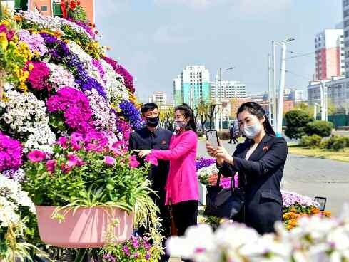 북한 평양 시민들이 마스크를 쓴 채 꽃놀이를 즐기고 있다. /사진=뉴스1(노동신문 제공)