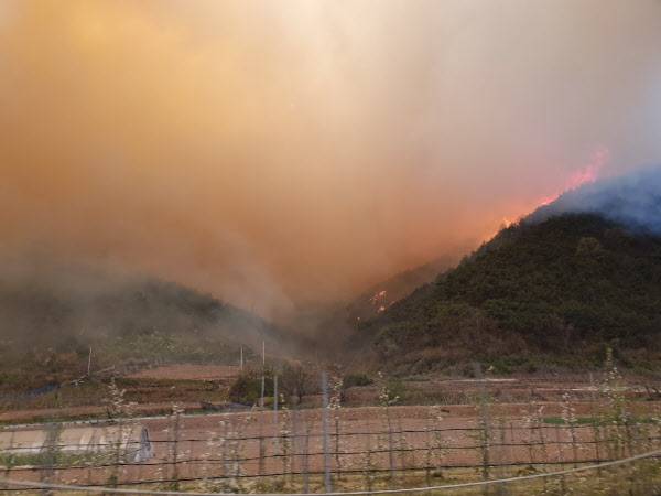 안동 풍천면 인금리 야산에 발생한 산불 /독자제공