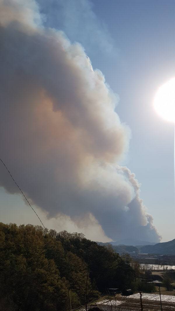 안동 풍천면 인금리 야산에 발생한 산불. /독자제공